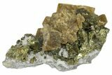 Siderite Crystals on Chalcopyrite - Peru #173400-1